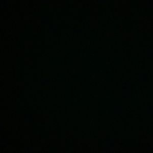 Meet your Posher, Beverley